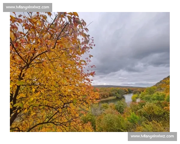 寒露时节秋意浓万物渐收自然画卷铺展人间诗意盎然