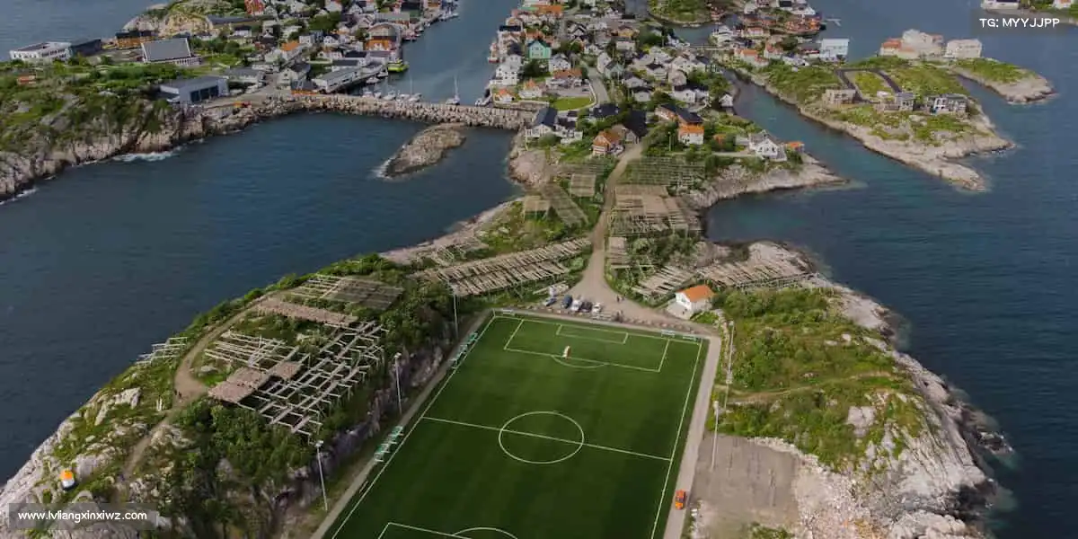 行业领先的理由